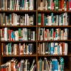 Assorted Books on Book Shelves