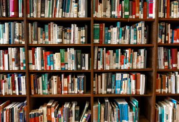 Assorted Books on Book Shelves